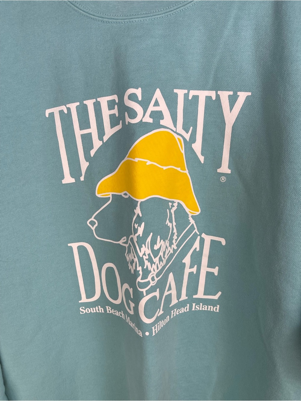 Comfort Colors The Salty Dog Cafe Chalky Mint Cotton Sweatshirt Medium - Picture 4 of 6